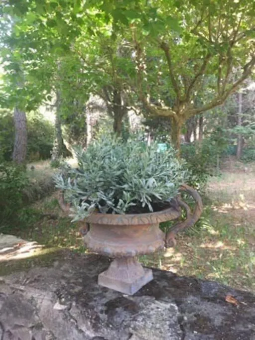 Vila Le Clos De La Tour Cassis Piscine Chauffee